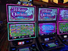 Permainan slot Aviator dan Sweet Bonanza